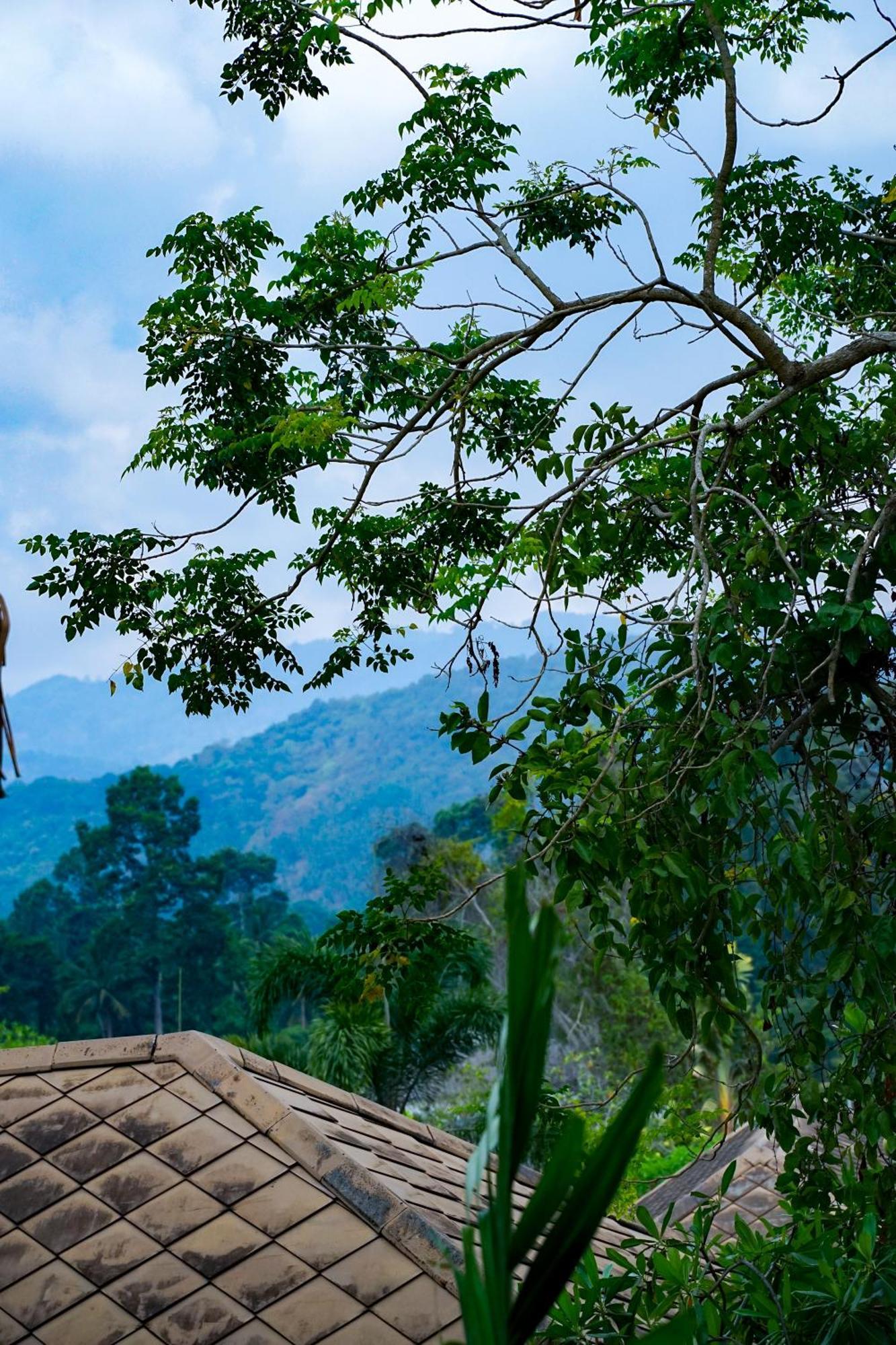 Large 4 Bed Villa Short Walk To Maenam Beach Mae Nam Exteriér fotografie